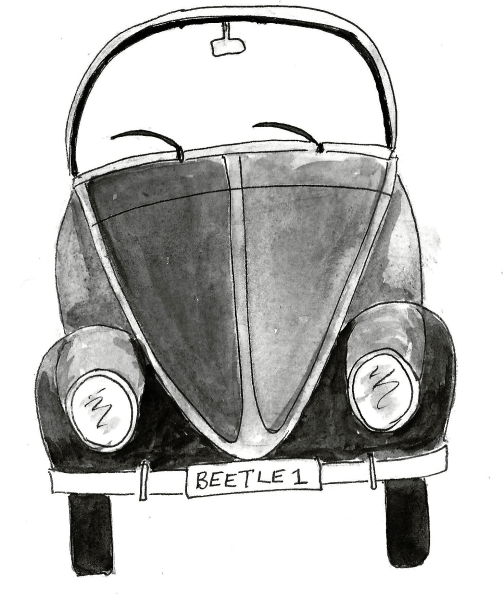 Beetle 1